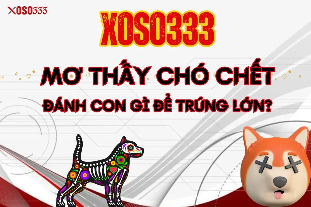 Xoso333 Giải mã mơ thấy chó chết - Đánh con gì để trúng lớn?